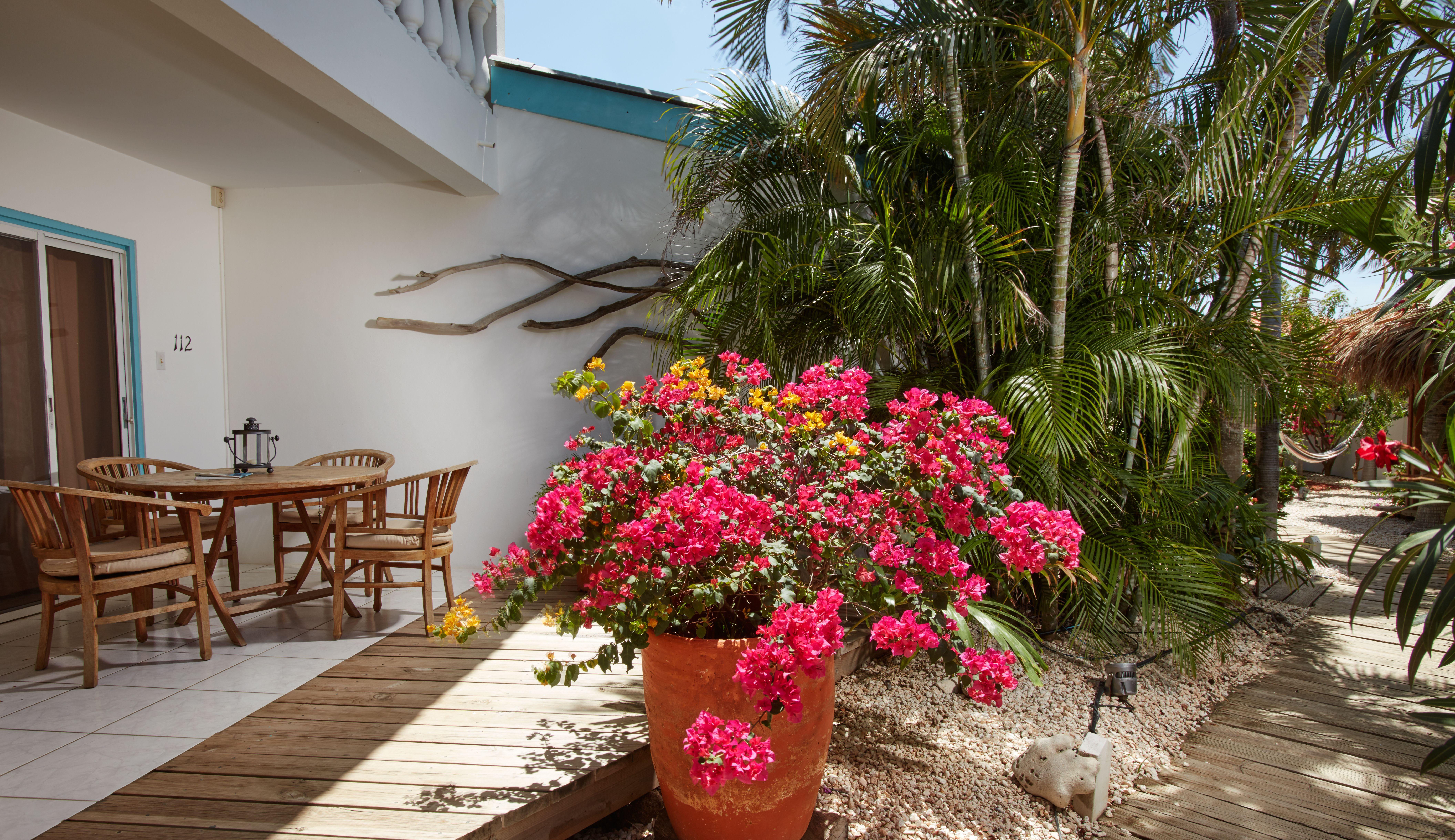Paradera Park Aruba Oranjestad Exterior foto